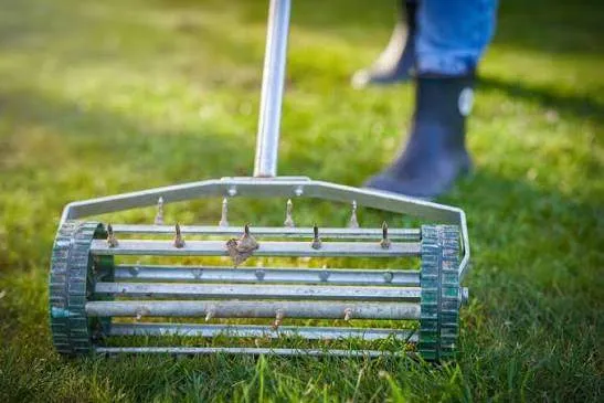 Lawn Aeration