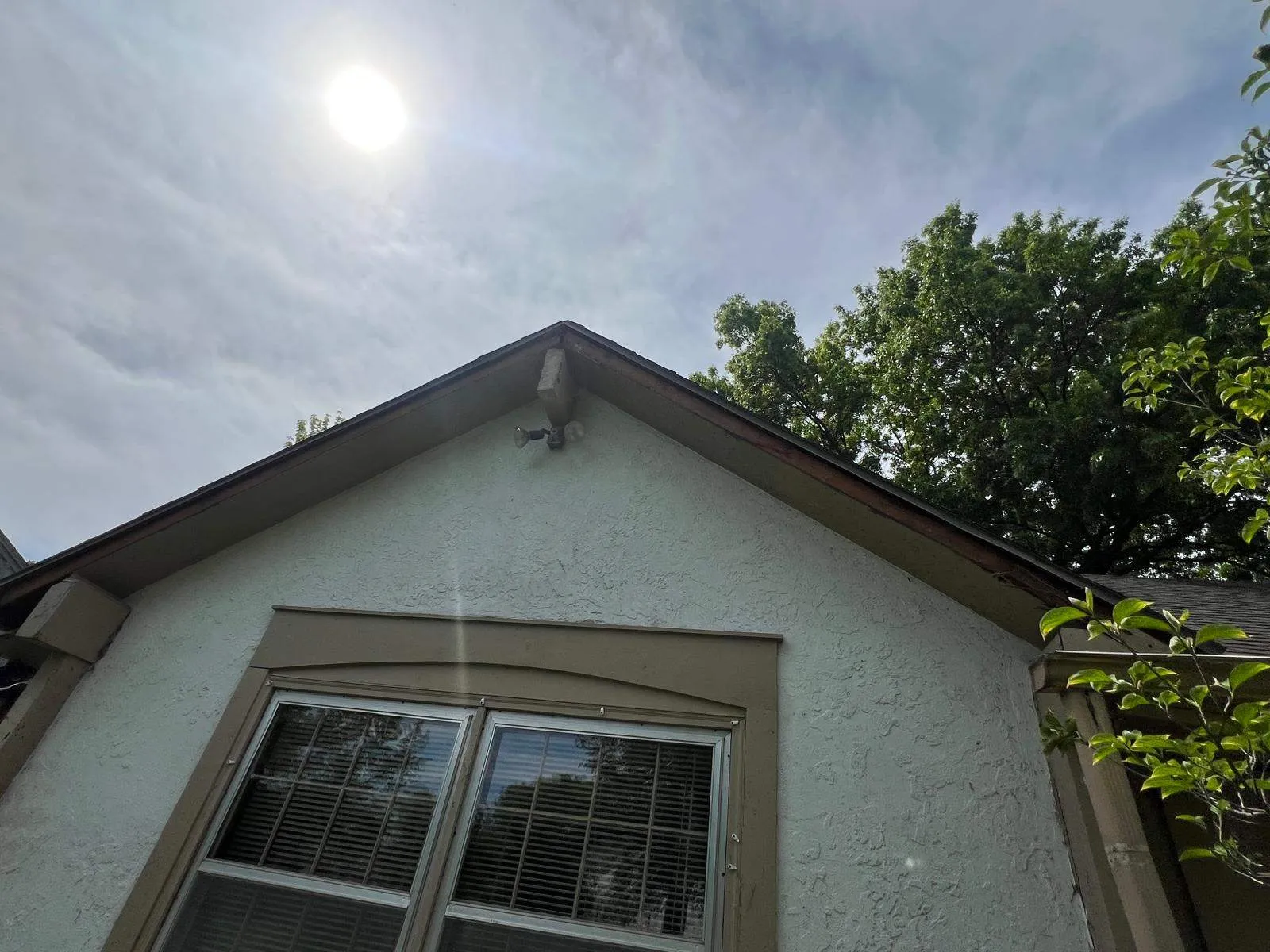 Gallery image 14