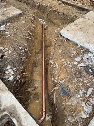 Gallery image 11