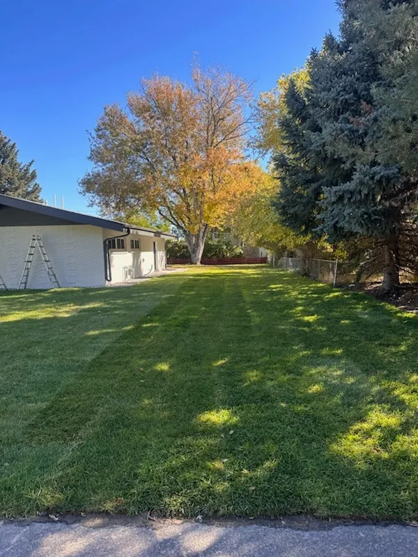 Gallery image 61