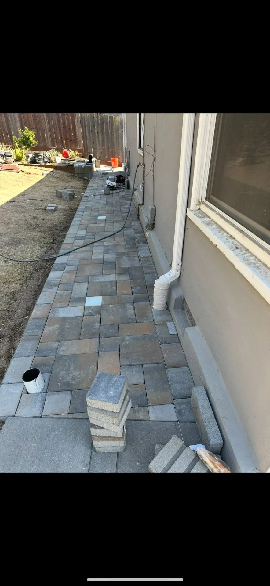 Gallery image 205