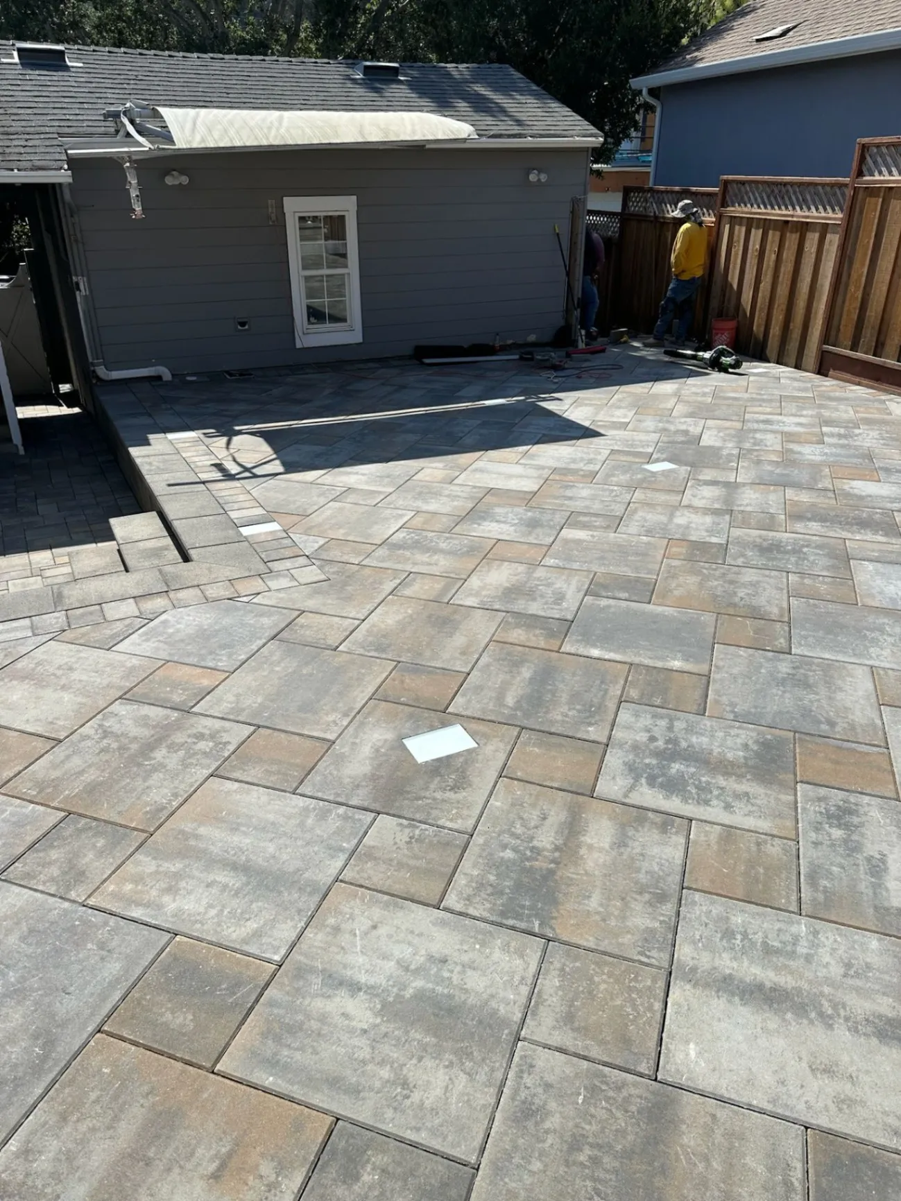 Gallery image 252