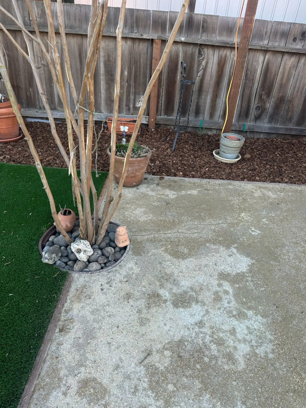 Gallery image 288