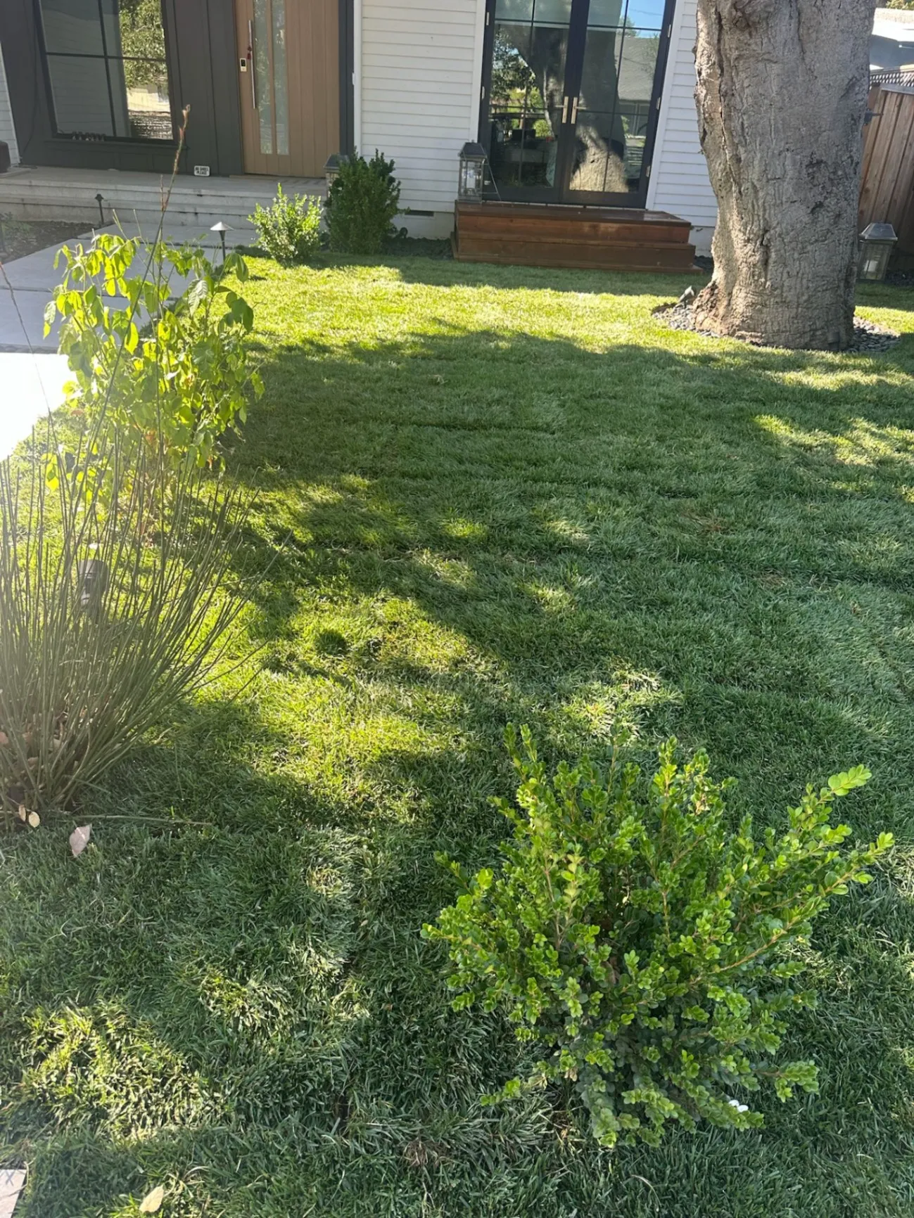 Gallery image 313