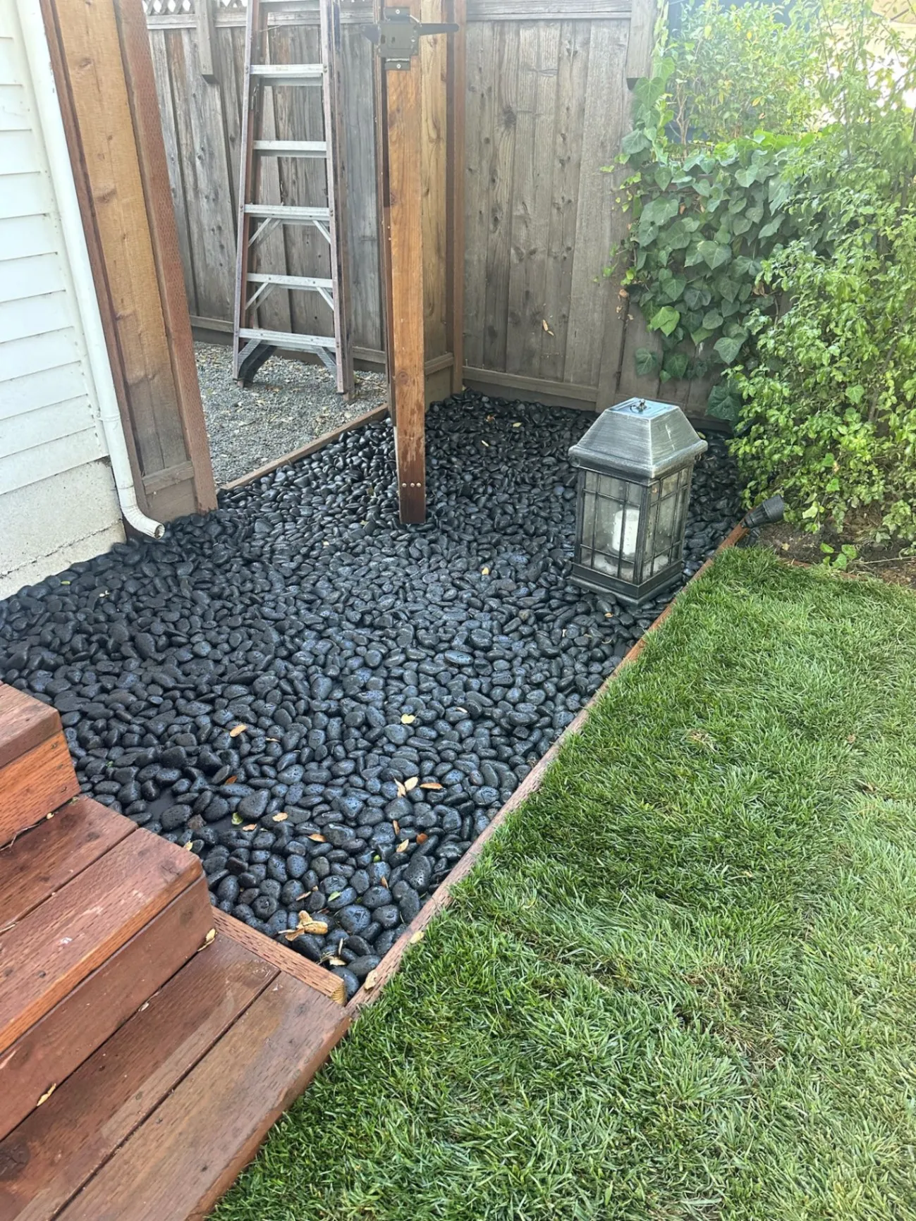 Gallery image 316