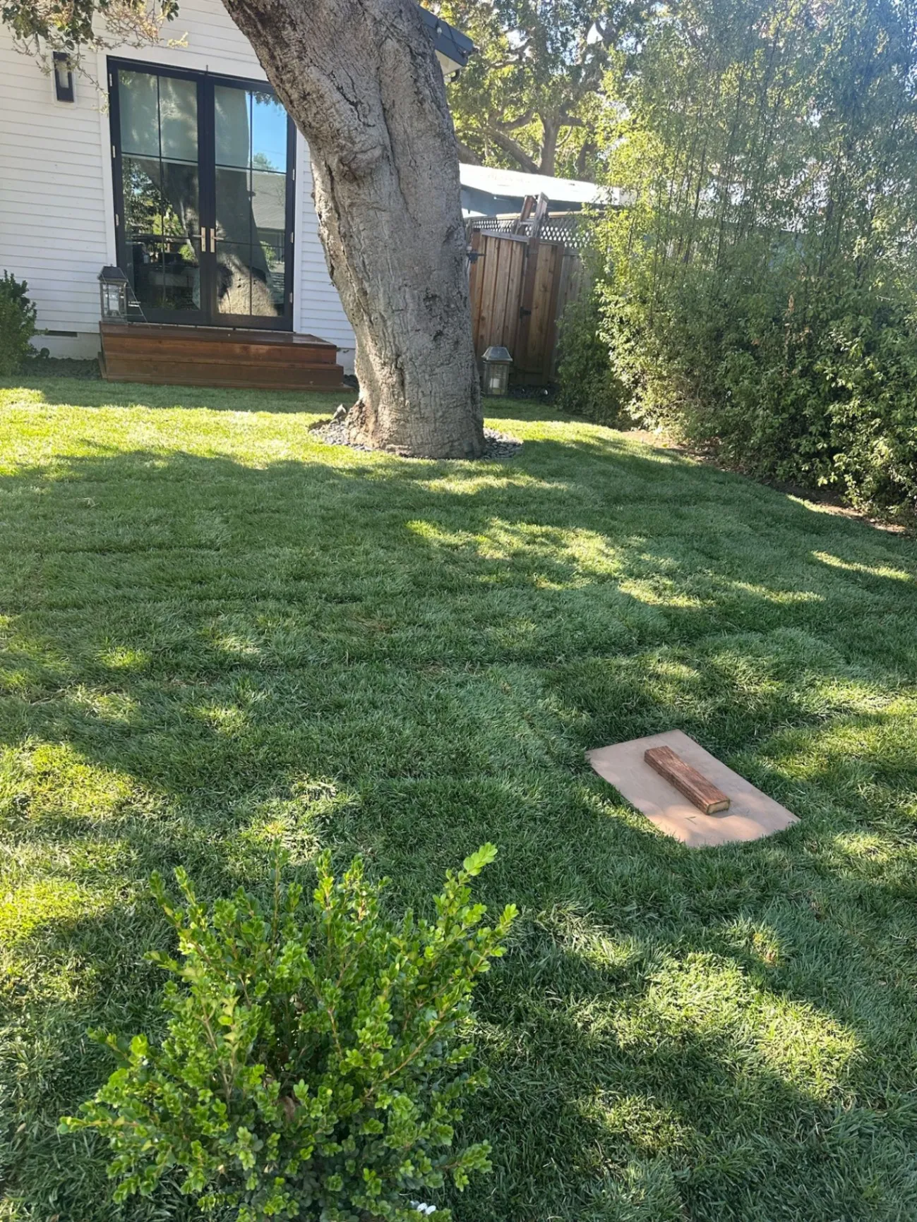 Gallery image 319
