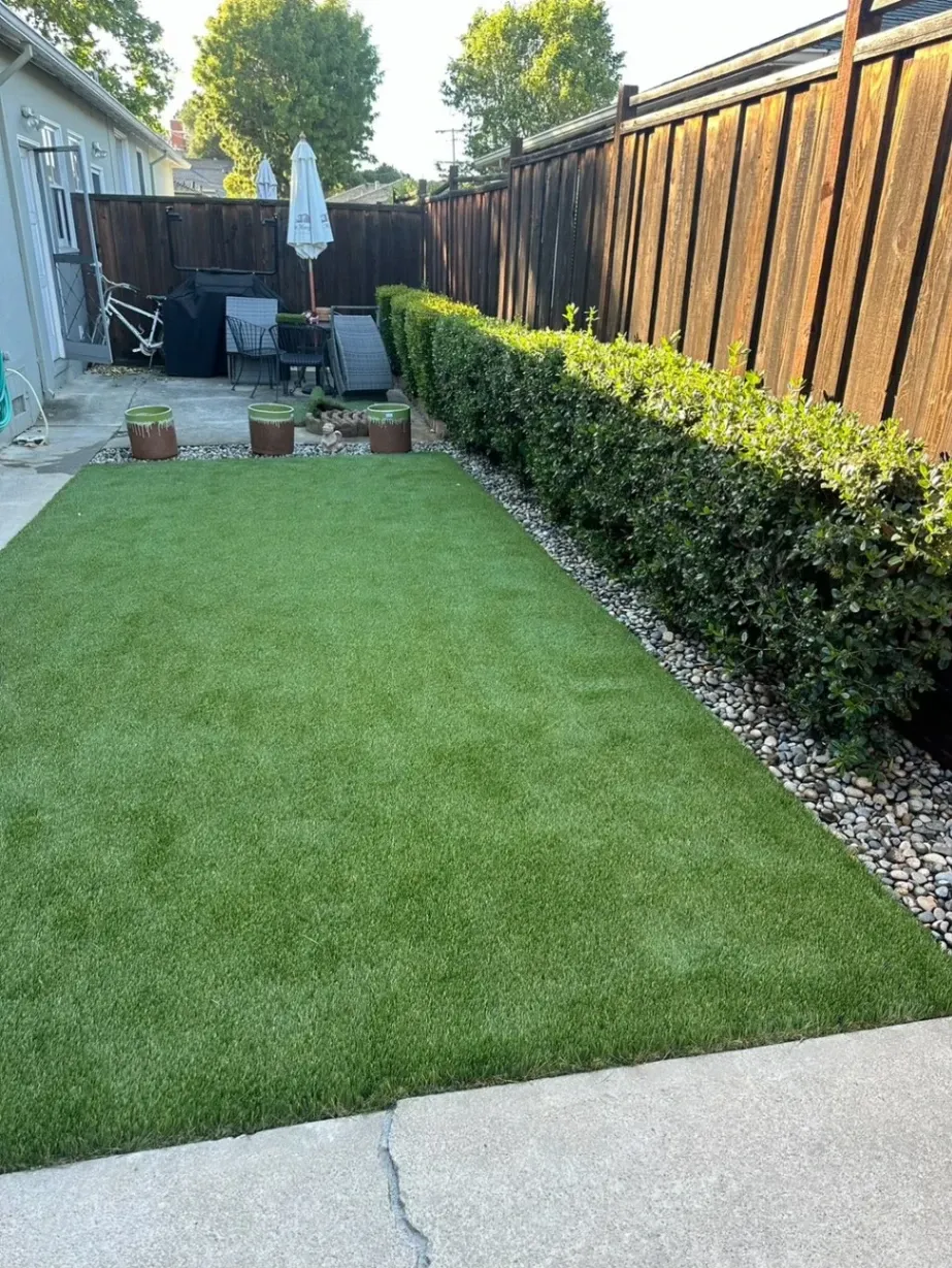 Gallery image 13