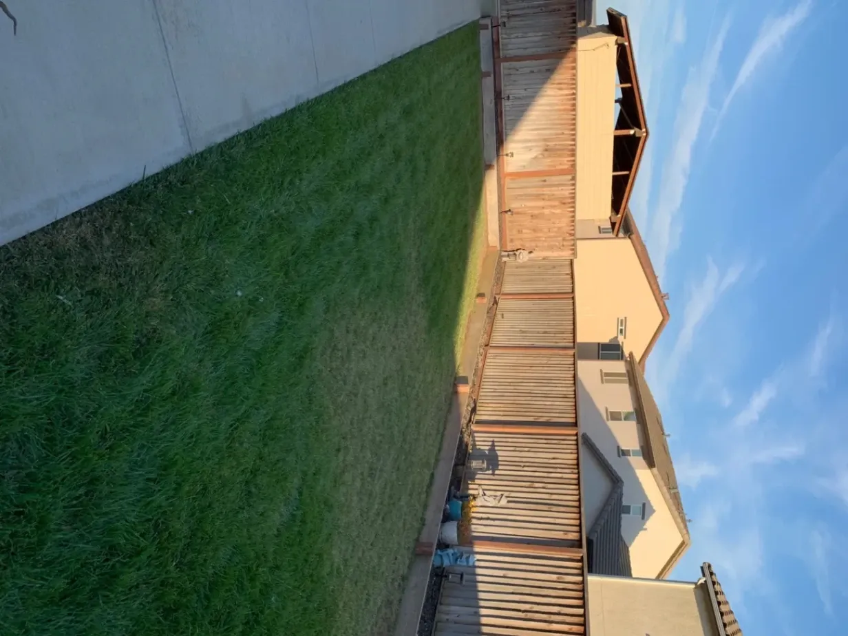 Gallery image 54