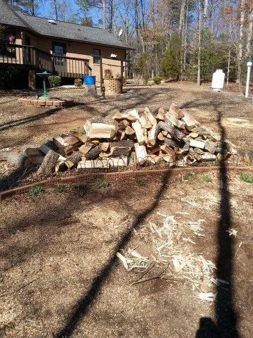 Gallery image 12