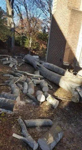Gallery image 13