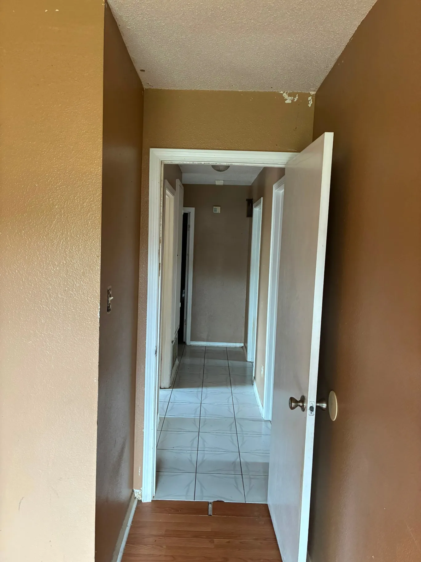 Gallery image 63