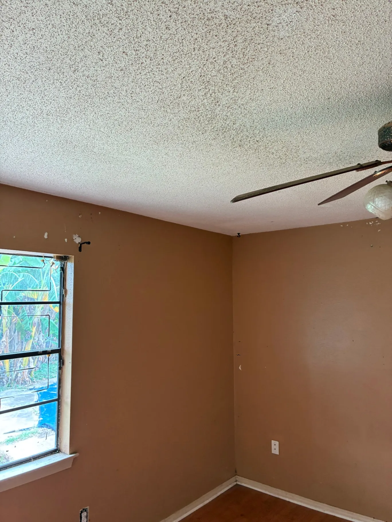 Gallery image 66