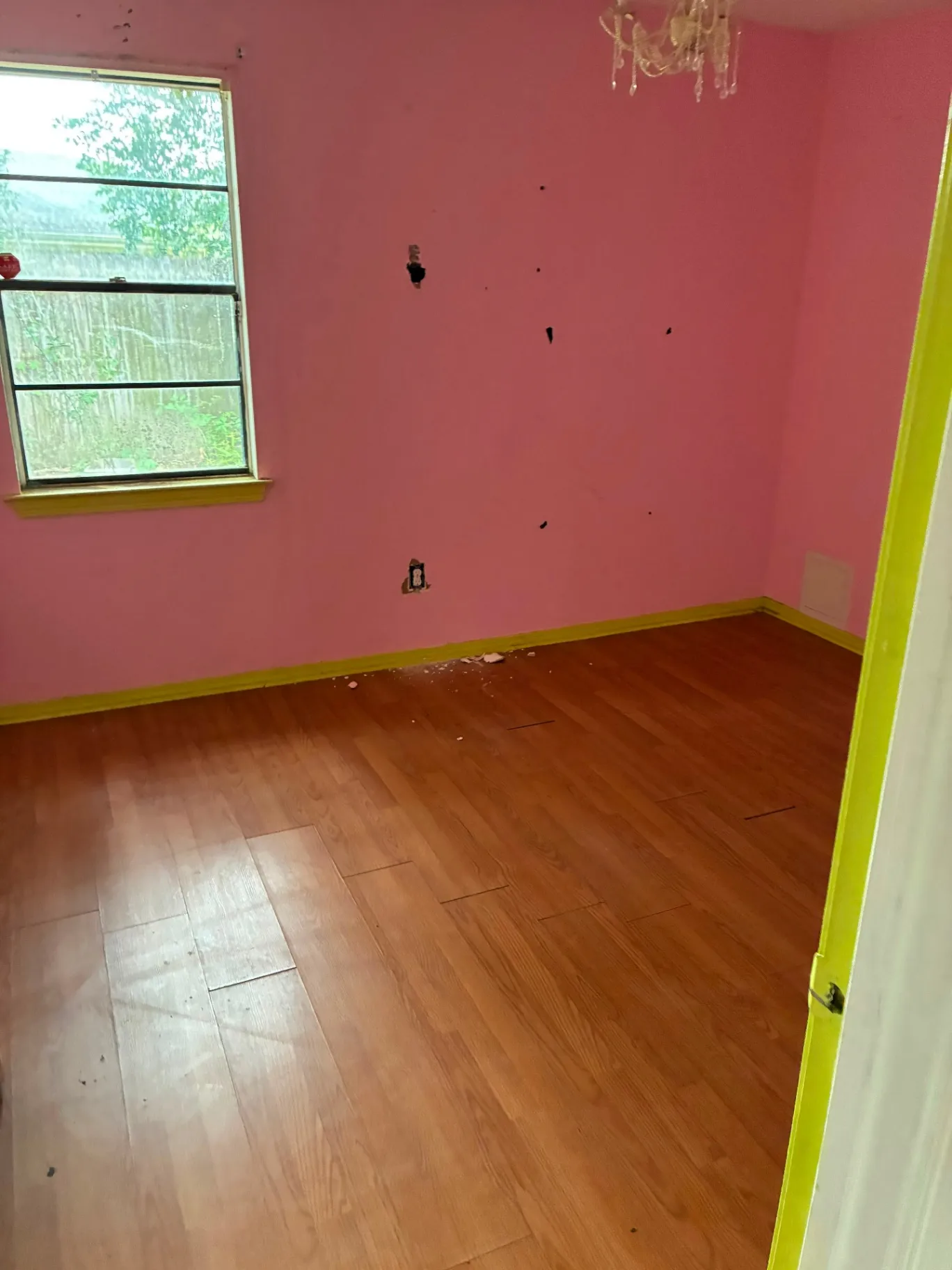 Gallery image 62