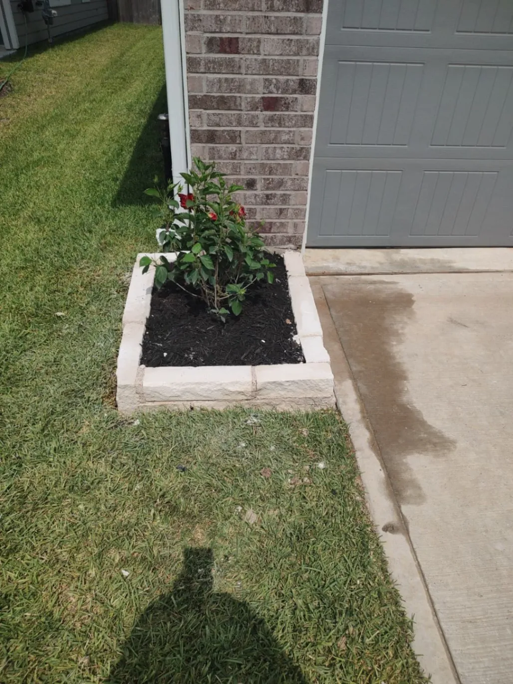 Gallery image 17