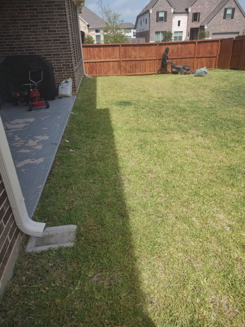 Gallery image 22