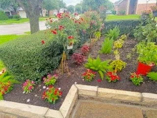 Escobar Lawn Care Services