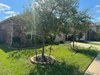 Escobar Lawn Care Services