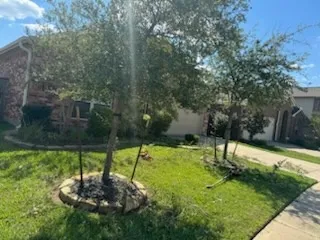 Escobar Lawn Care Services