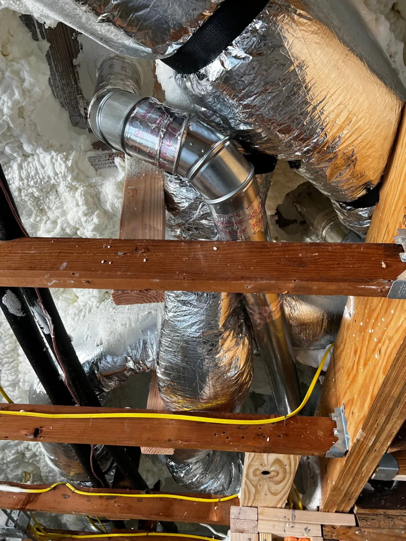 Gallery image 11