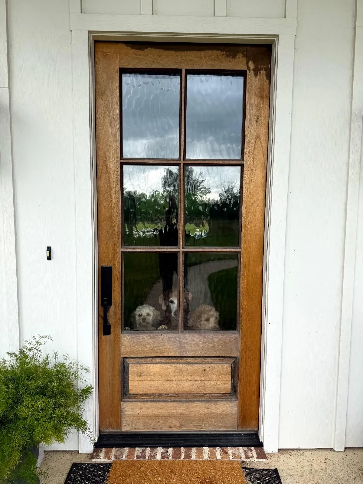 Gallery image 14