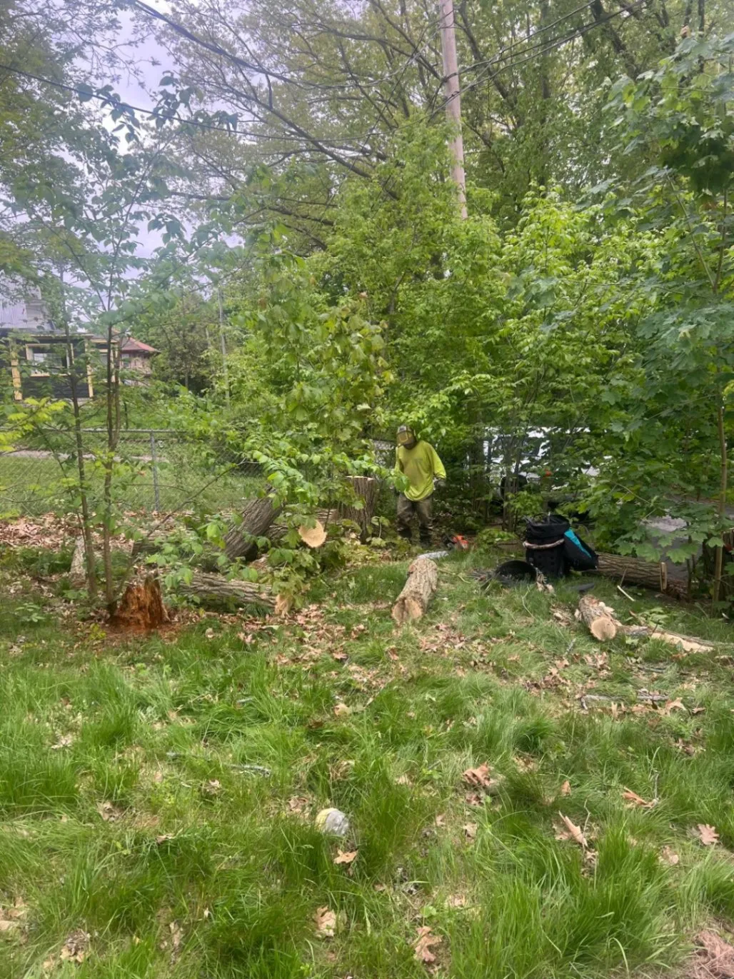 Gallery image 57