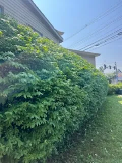 Gallery image 68