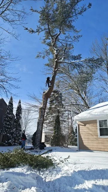 Gallery image 30