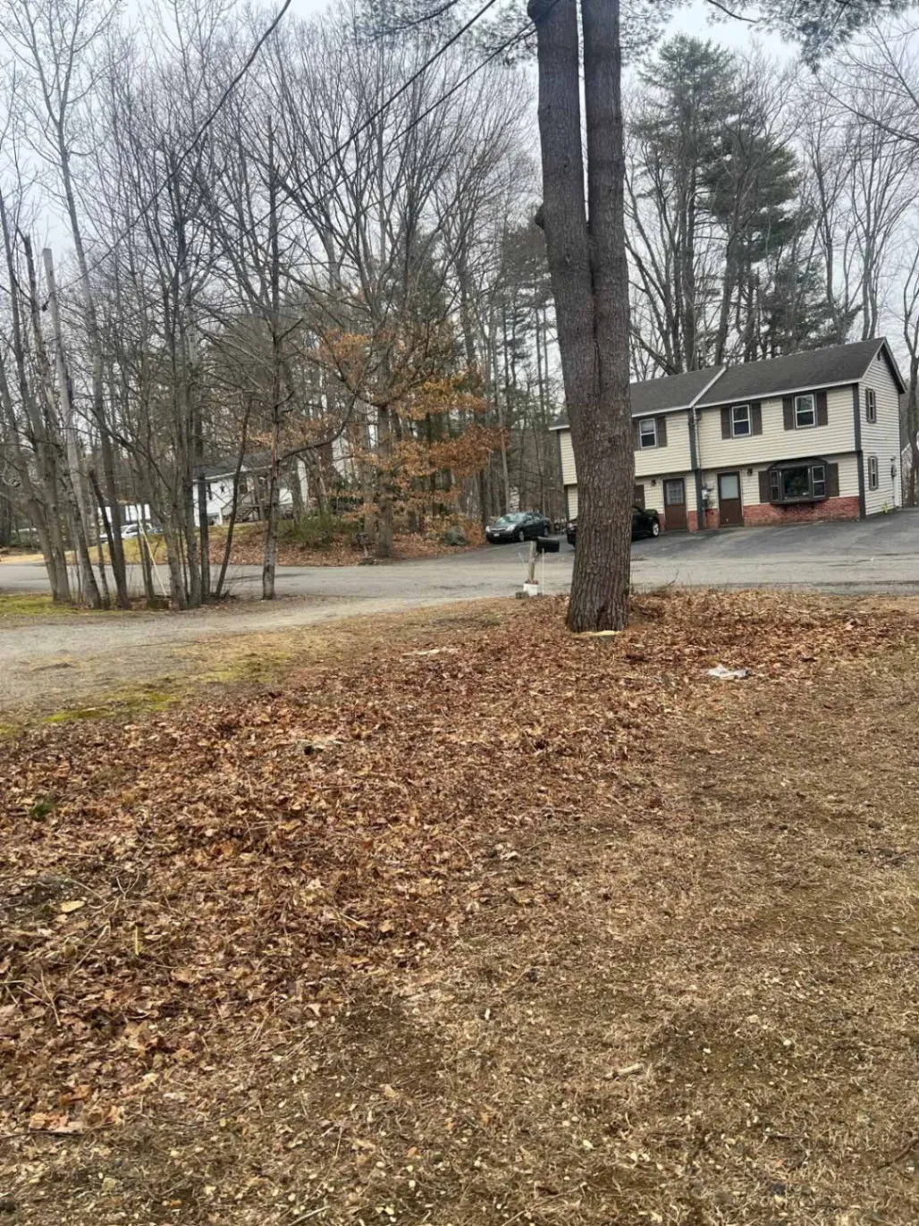Gallery image 49