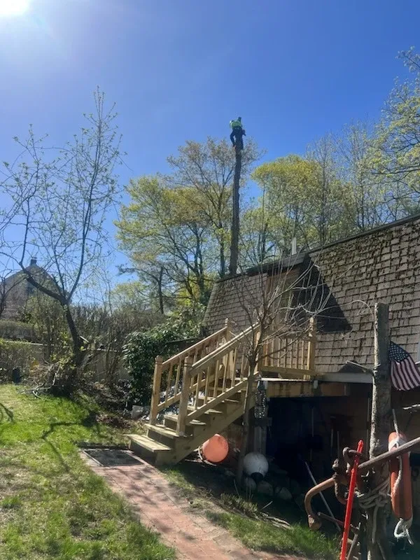 Gallery image 53