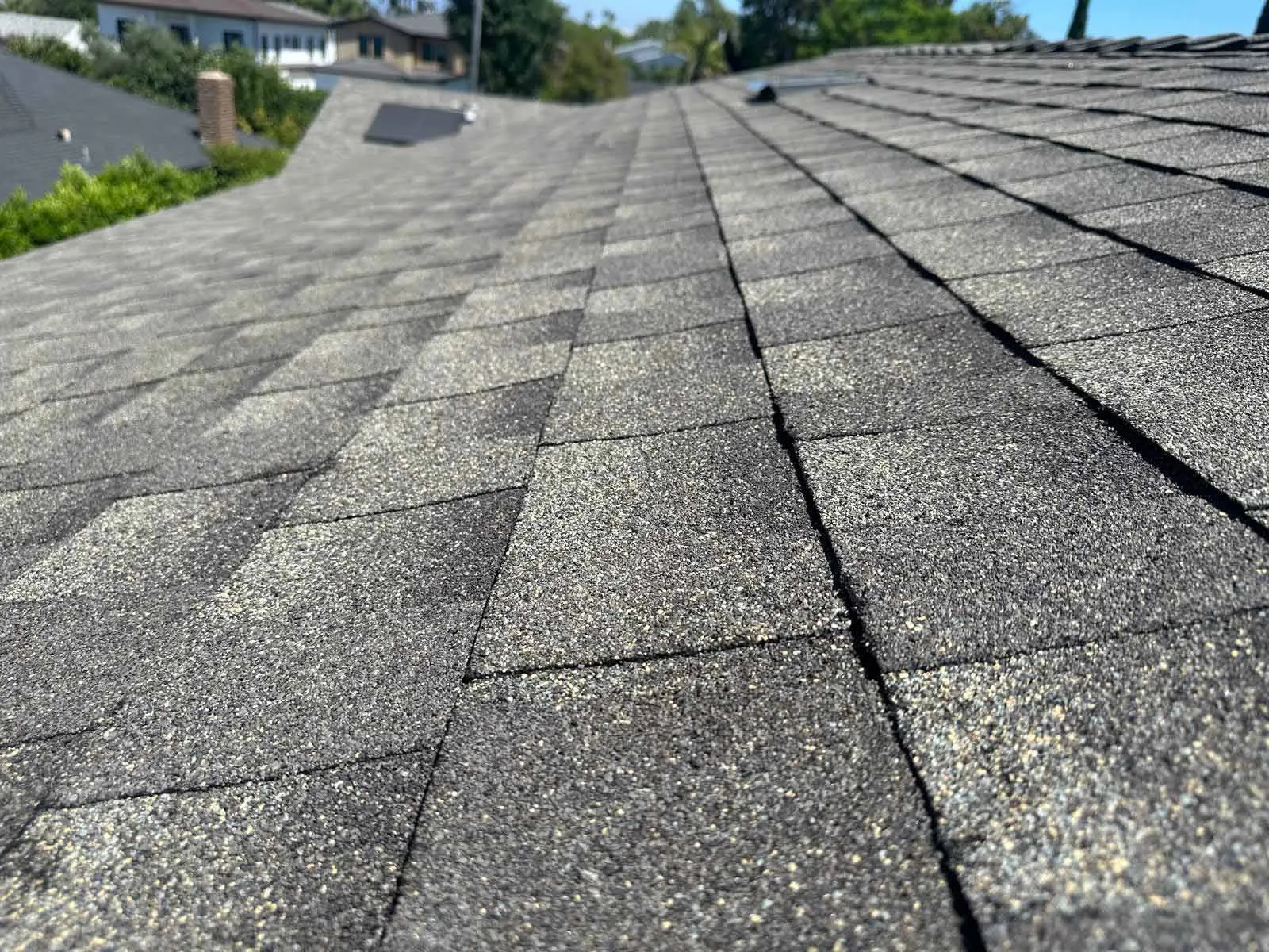 Alamo Roofing Inc