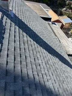 Professional Service
