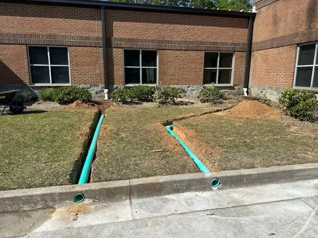 Gallery image 6