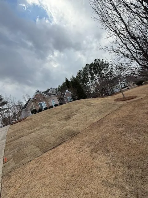 Gallery image 64