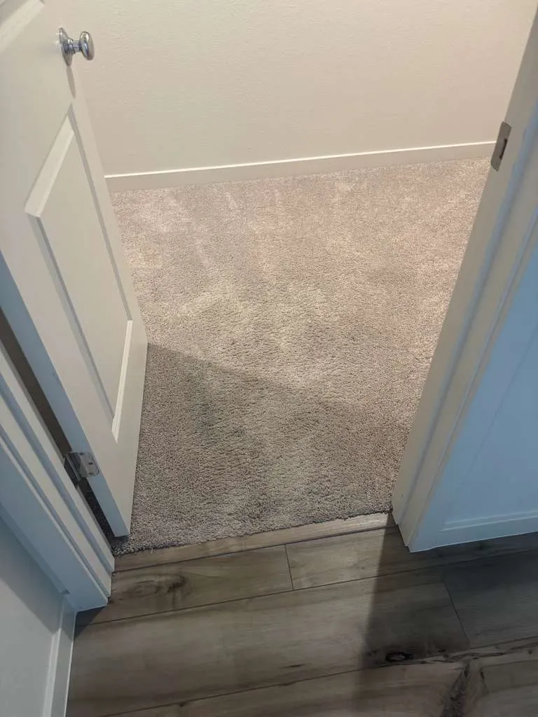 The Clean Company