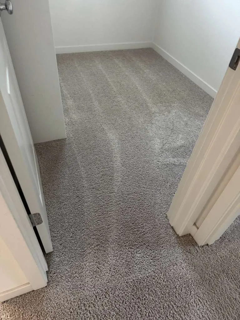 The Clean Company