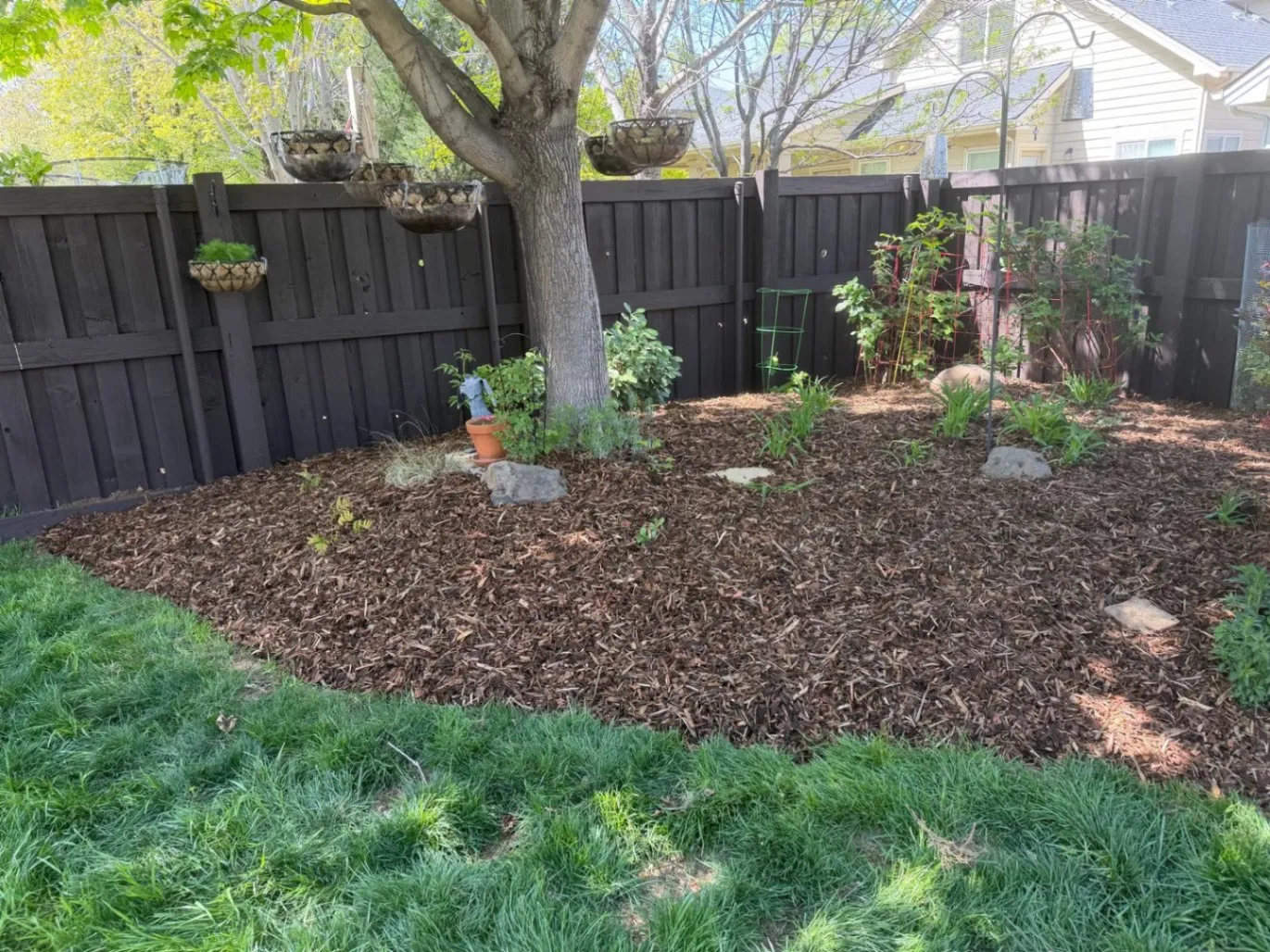 Gallery image 181