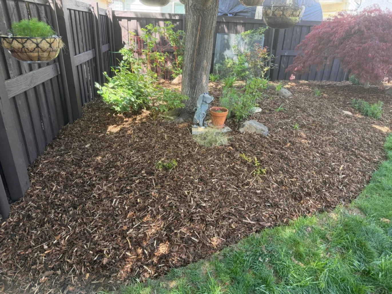 Gallery image 182