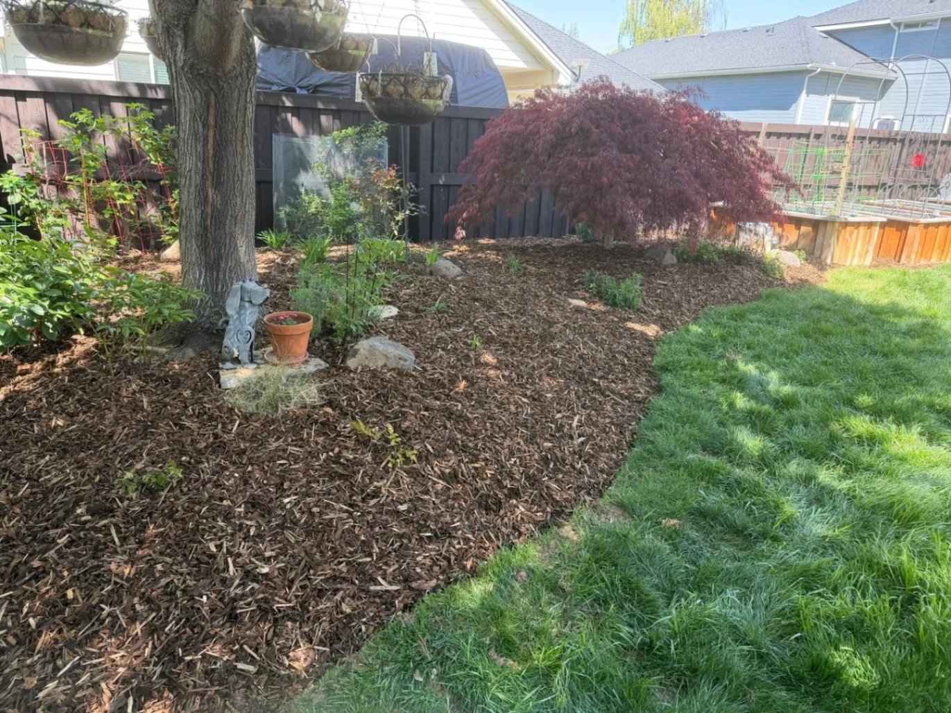Gallery image 183