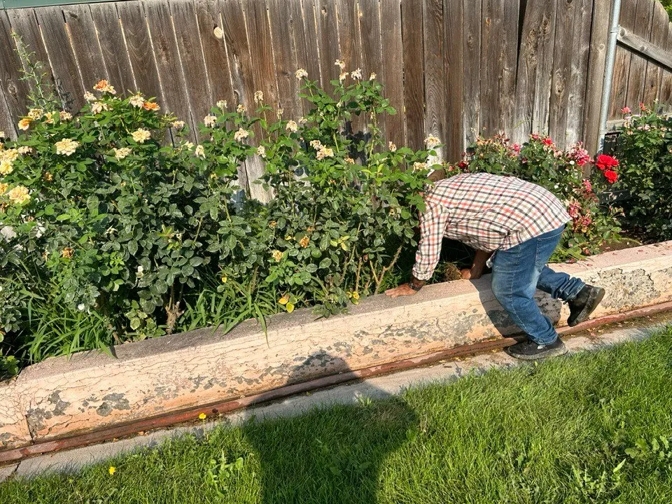 Hernestos Lawncare LLC