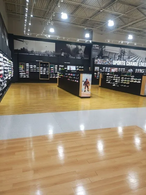 Gallery image 8