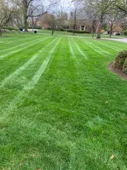 Cortez Lawn Service LLC