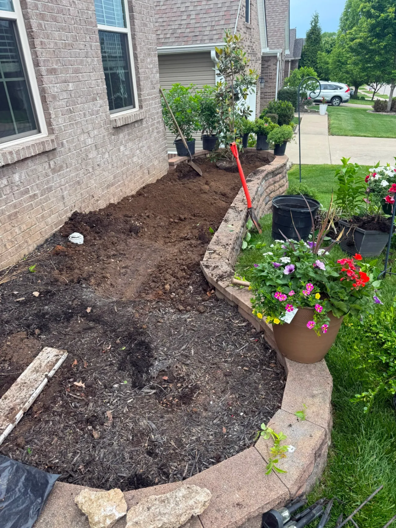Gallery image 164