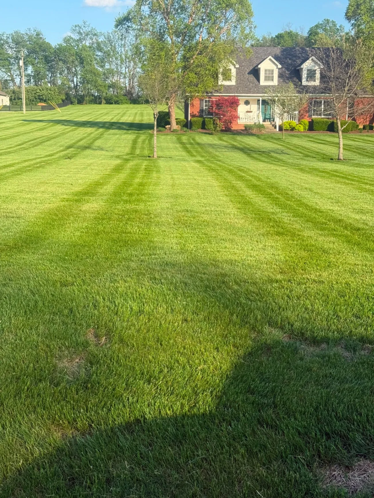 Gallery image 179