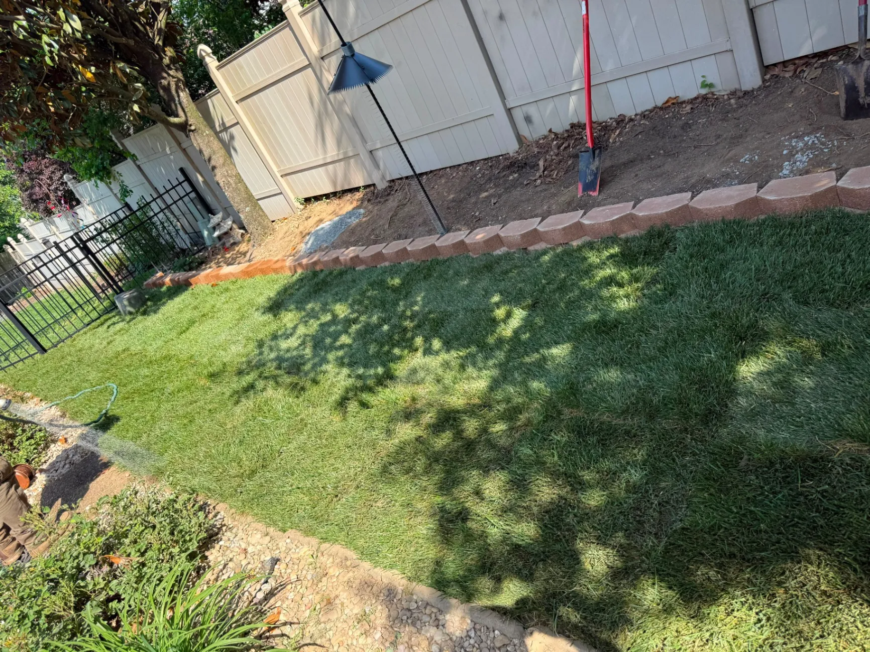 Gallery image 182
