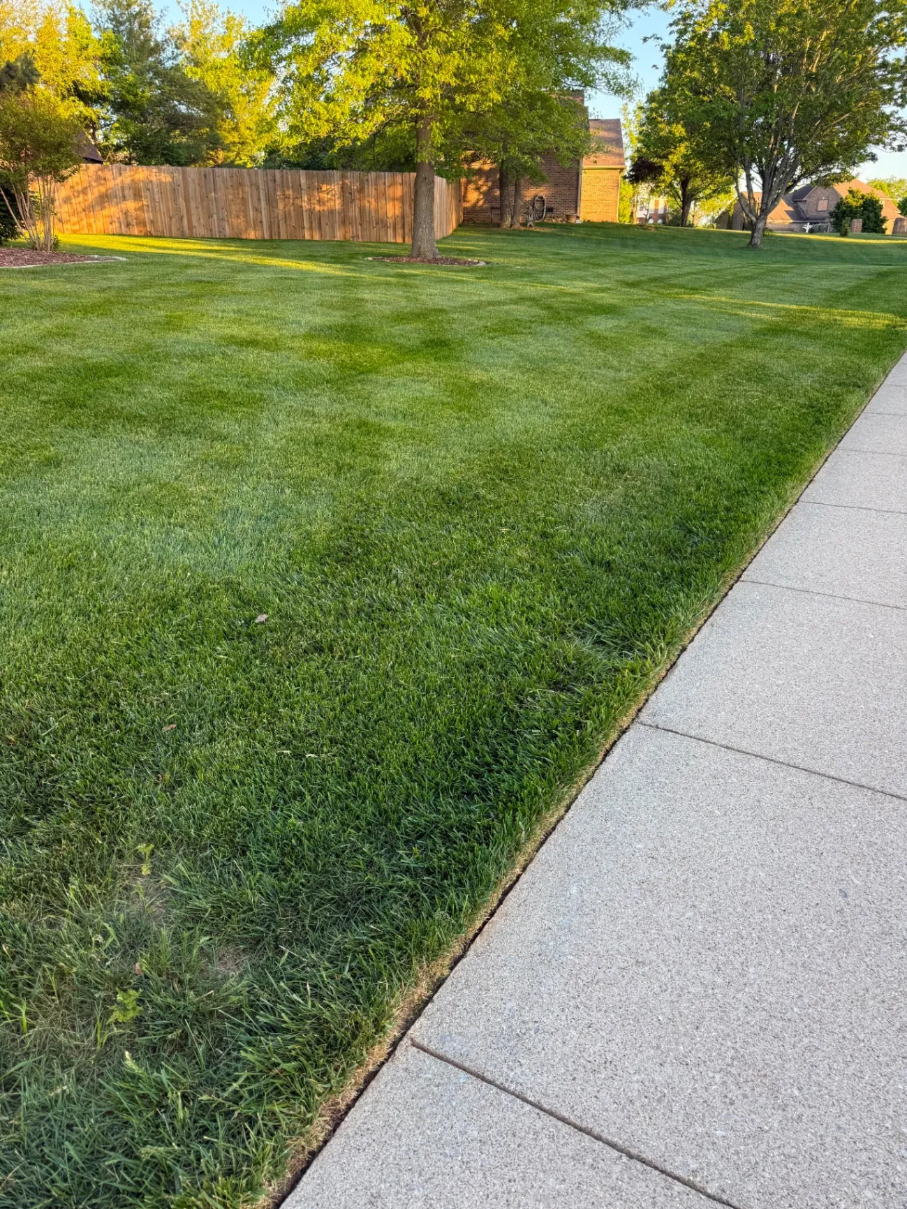 Gallery image 184