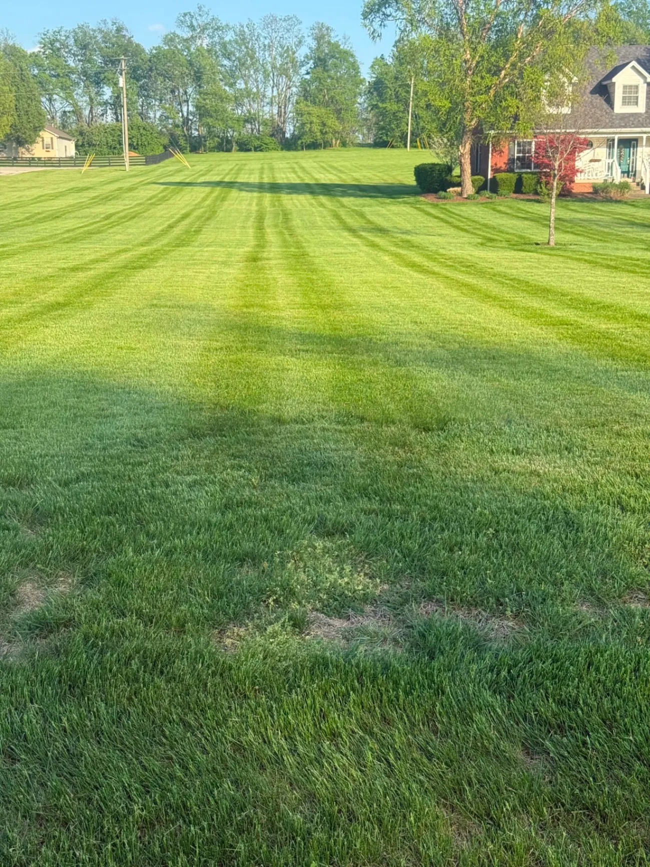 Gallery image 187