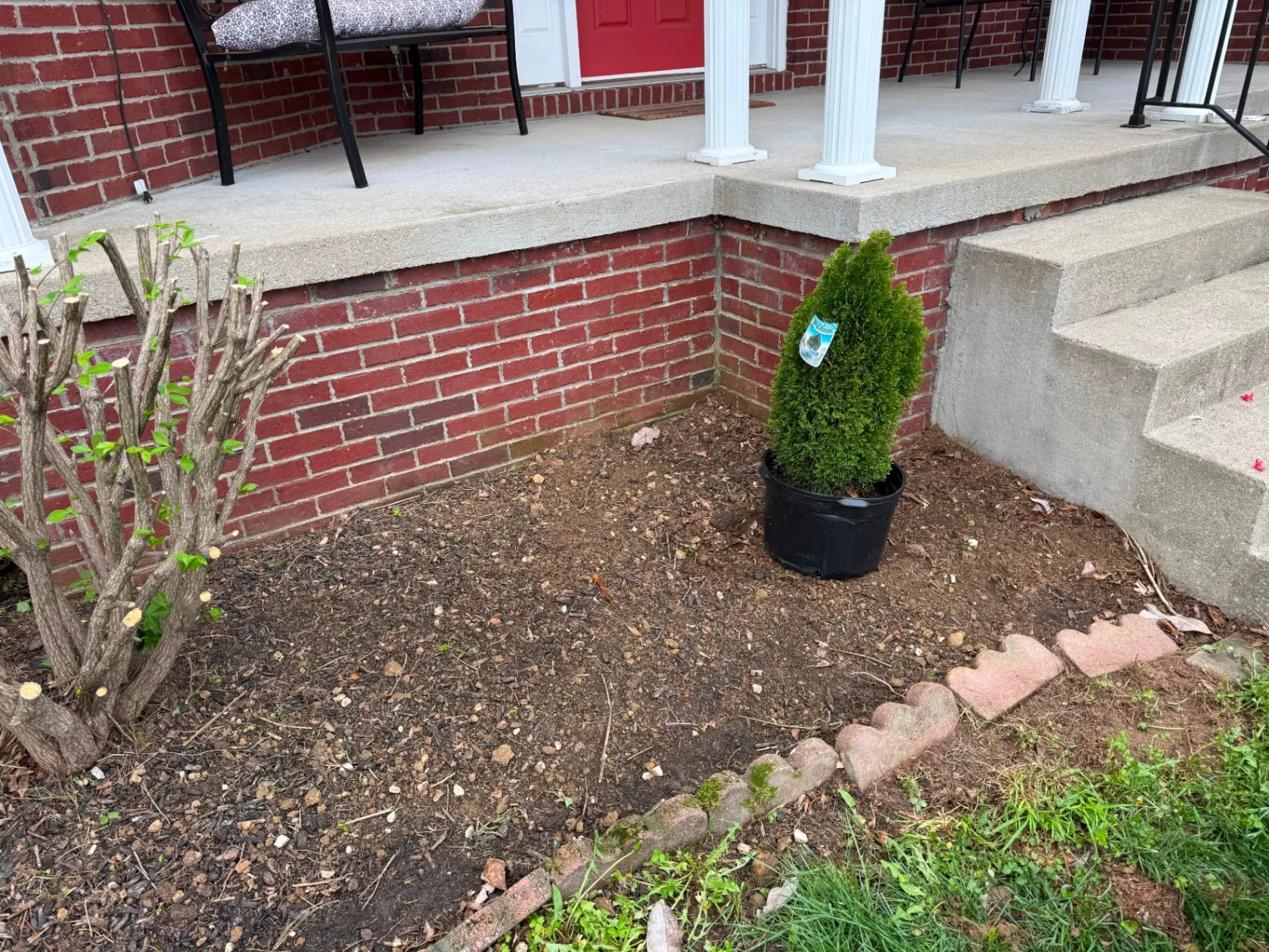 Gallery image 189