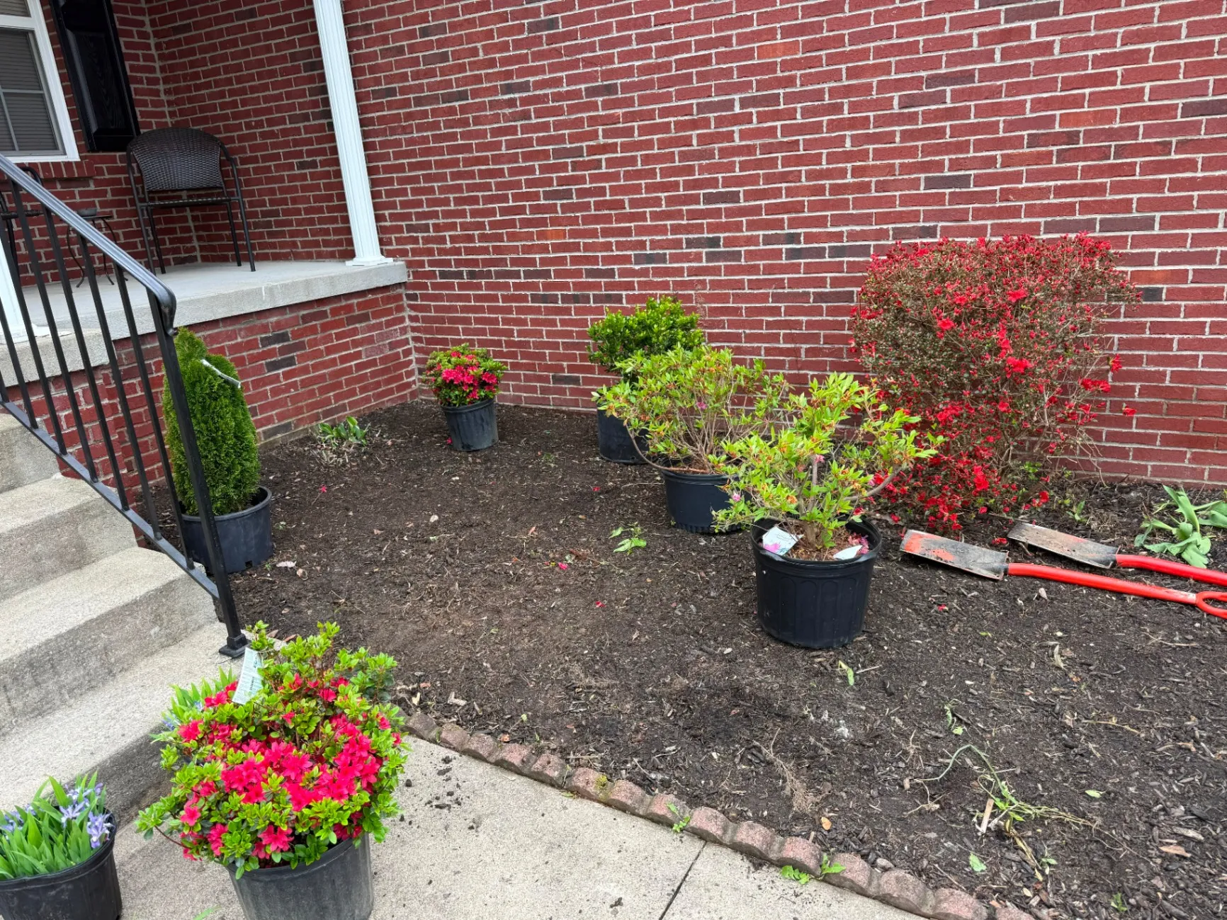 Gallery image 188