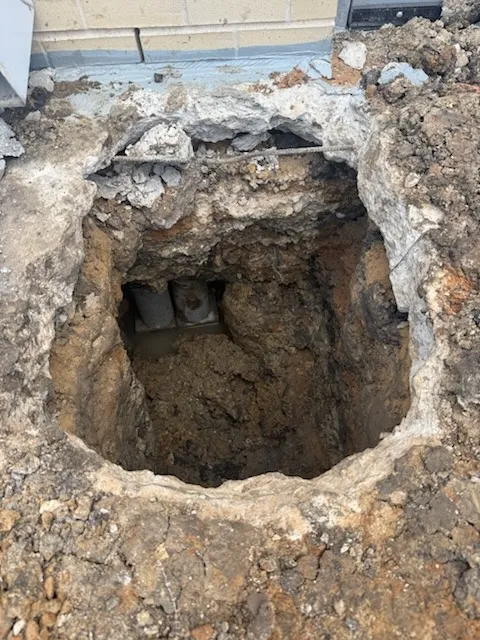 Gallery image 12