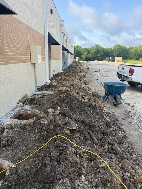 Gallery image 14